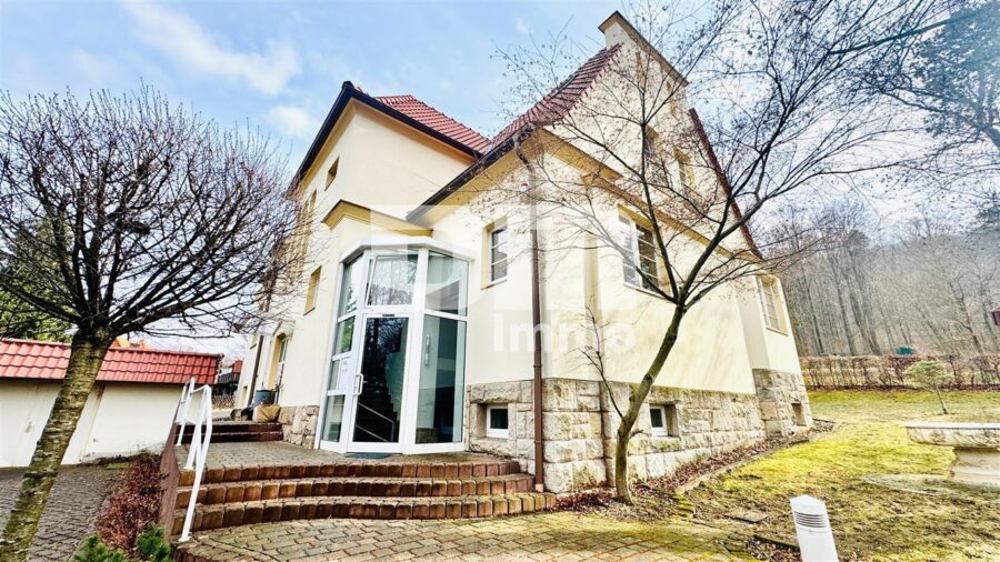 (R)eserviert!Modernisierte 1 bis 2 Familien Stadtvilla mit Maisonettewohnung in Traumlage - Frontansicht Haupteingang